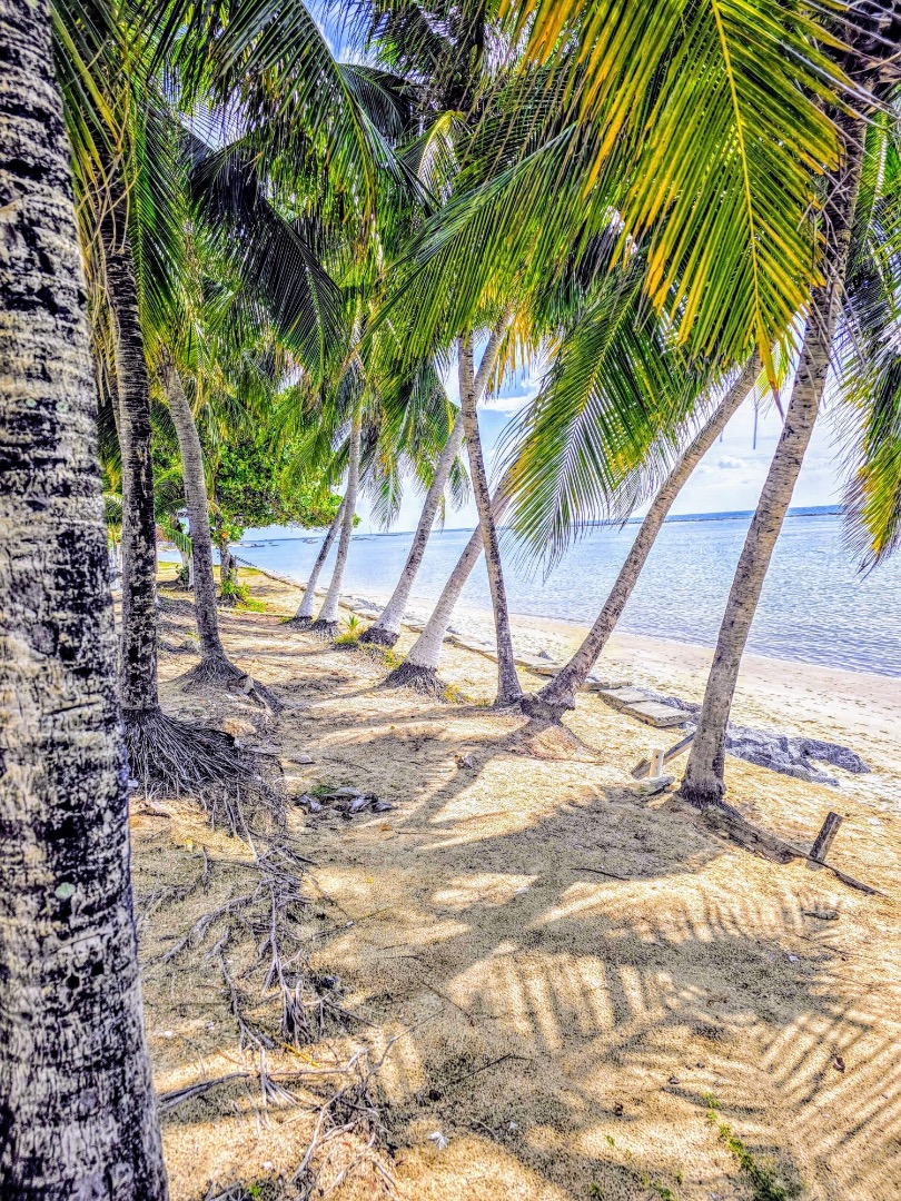 Tamandaré NE Brazil Holiday Rentals