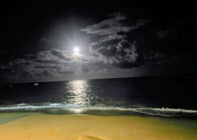 Tropical beach lifestyle in Northeast Brazil